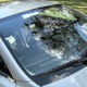 Illustration for article titled Heres How Ridiculously Expensive It Is To Replace A Windshield On An Aston Martin